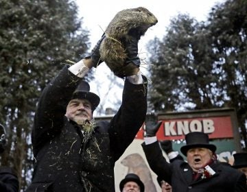 Groundhog Club co-handler John Griffiths, (left), holds Punxsutawney Phil, the weather prognosticating groundhog, during the 133rd celebration of Groundhog Day on Gobbler's Knob in Punxsutawney, Pa. Saturday, Feb. 2, 2019. Phil's handlers said that the groundhog has forecast an early spring. (Gene J. Puskar/AP Photo)