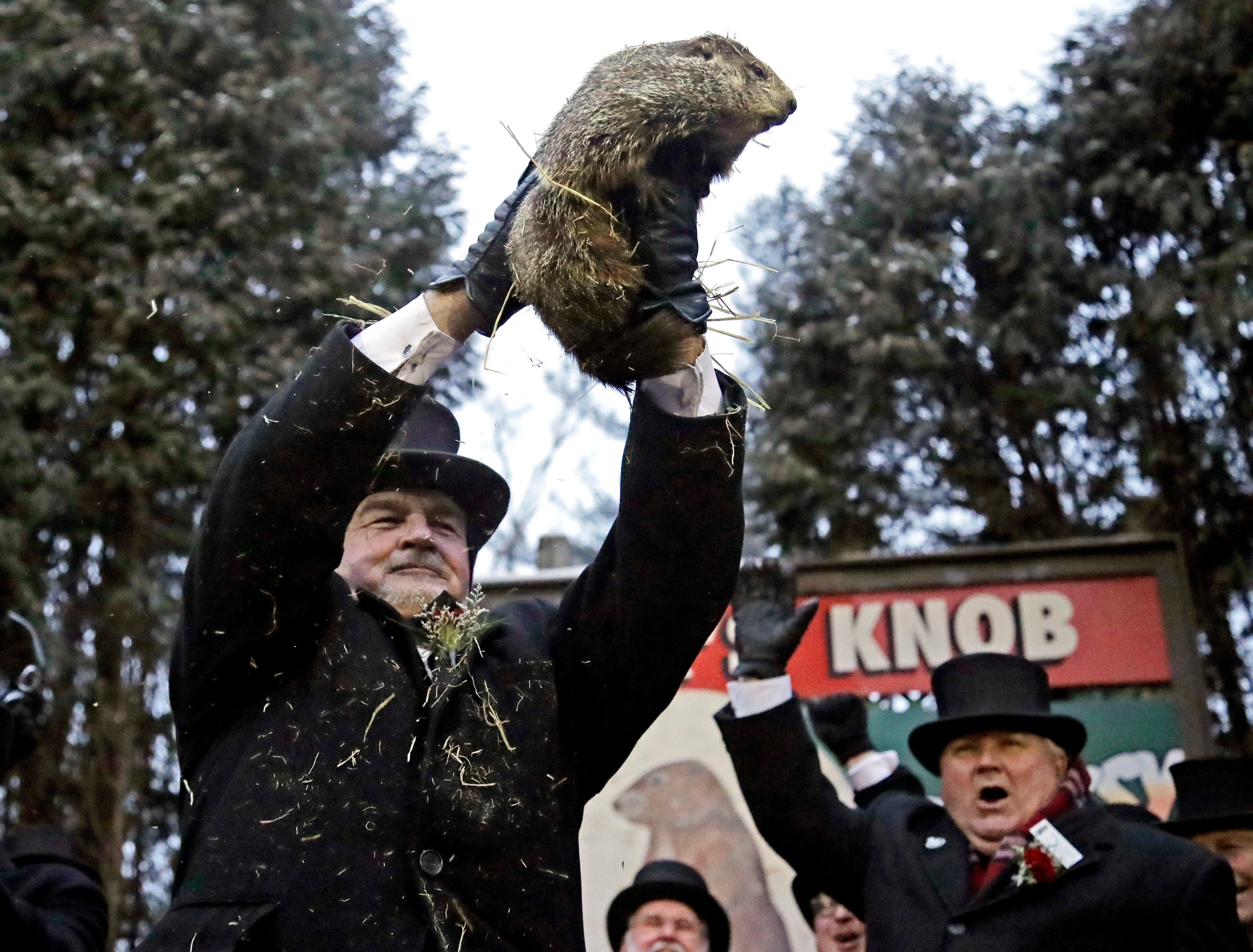 Фил день. Punxsutawney Phil. Фил из Панксатони предсказавший. День сурка 2020. Сурок видит свою тень.