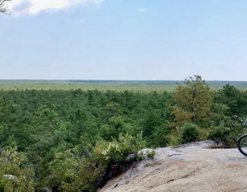 The view from the Forked River Mountains in Ocean County. (Image courtesy of JSHN contributor Kara Ann.)