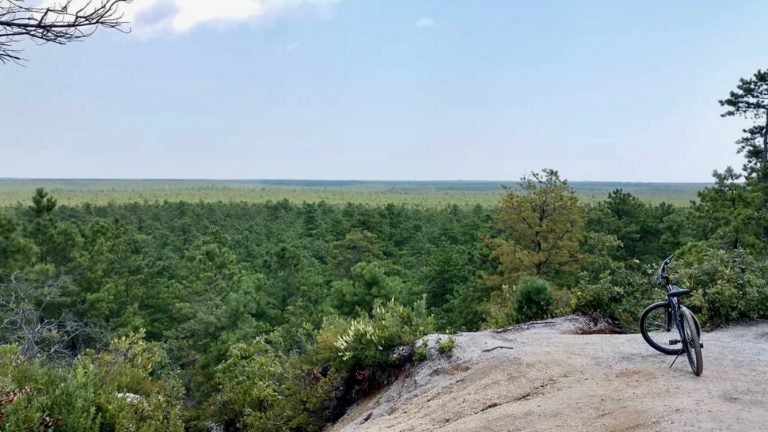 The view from the Forked River Mountains in Ocean County. (Image courtesy of JSHN contributor Kara Ann.)