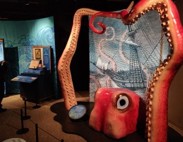 The new “Mythic Creatures” exhibit opens at The Academy of Natural Sciences of Drexel University on Saturday (Xavier Lopez for WHYY)
