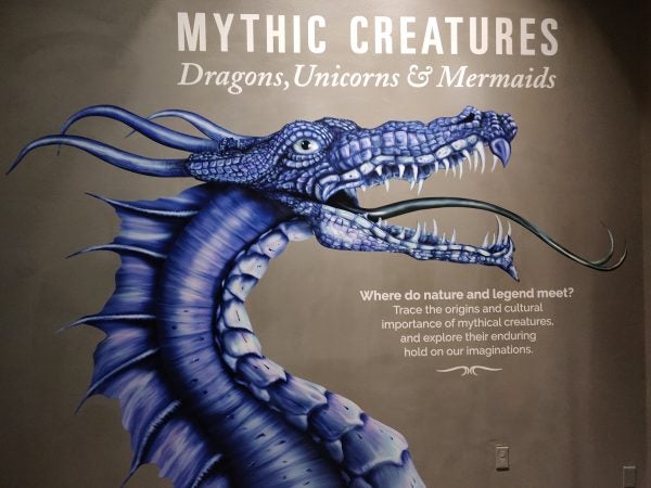 The new “Mythic Creatures” exhibit opens at The Academy of Natural Sciences of Drexel University on Saturday (Xavier Lopez for WHYY)