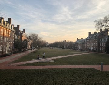 The University of Delaware wants state taxpayers to split the cost of paying tuition and fees for students from half of Delaware’s families. (Cris Barrish/WHYY)