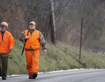 The plaintiffs argued that the 2015 guidelines didn't comply with legal precedent and that the state inflated the number of complaints about bears to justify its actions. (Keith Srakocic/AP Photo)