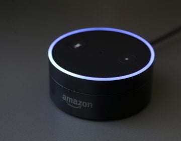 Gizmodo's Kashmir Hill tried to disconnect from all Amazon products, including smart speakers, as part of a bigger experiment in living without the major tech players. (Jeff Chiu/AP Photo)