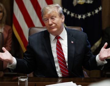 President Trump said he is not 