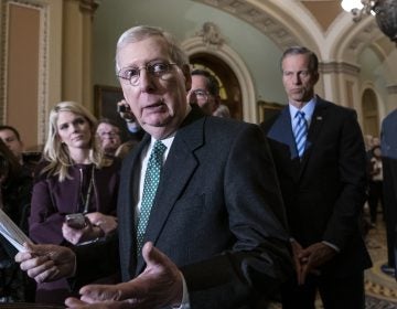 Senate Majority Leader Mitch McConnell, R-Ky., joined by fellow Republican senators, spoke about the Green New Deal Tuesday.
(J. Scott Applewhite/AP Photo)