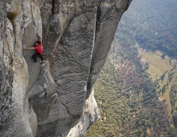 Alex Honnold's ascent of El Capitan in Yosemite National Park — without ropes or safety equipment — was the subject of the documentary film Free Solo. (Jimmy Chin/National Geographic)