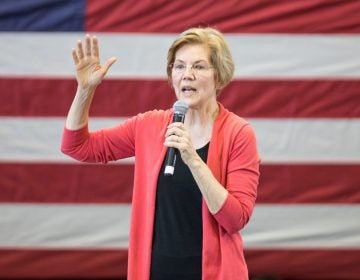 Sen. Elizabeth Warren, D-Mass., speaks during a New Hampshire organizing event for her 2020 presidential exploratory committee at Manchester Community College on January 12, 2019, in Manchester, N.H. (Scott Eisen/Getty Images)