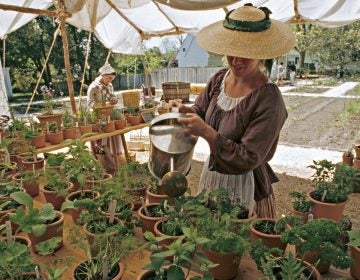 At Colonial Williamsburg's garden and nursery, which is open to guests, staff grow items that would have been found in gentry pleasure gardens: herbs, flowers and seasonal greens. (Colonial Williamsburg Foundation)