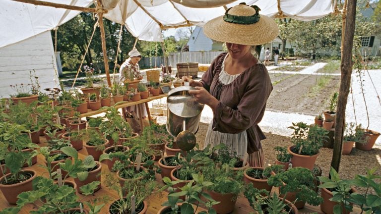 At Colonial Williamsburg's garden and nursery, which is open to guests, staff grow items that would have been found in gentry pleasure gardens: herbs, flowers and seasonal greens. (Colonial Williamsburg Foundation)