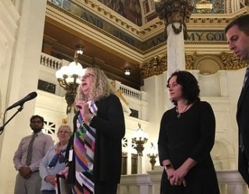 Levine, a former pediatrician, had fellow pediatricians join her for a last-minute press conference defending the importance of vaccines. (Katie Meyer/WITF)