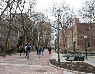 Locust Walk on the University of Pennsylvania campus. (Ximena Conde/WHYY)