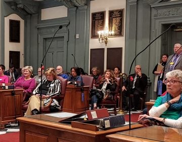 Dozens of abortion rights advocates and abortion opponents gathered in Dover, Del. to debate legislation aiming to ban late-term abortions. (Zoe Read/WHYY)