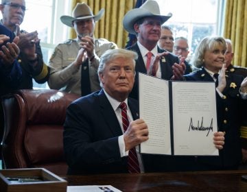 President Donald Trump signs the first veto of his presidency in the Oval Office of the White House, Friday, March 15, 2019, in Washington. (Evan Vucci/AP Photo)