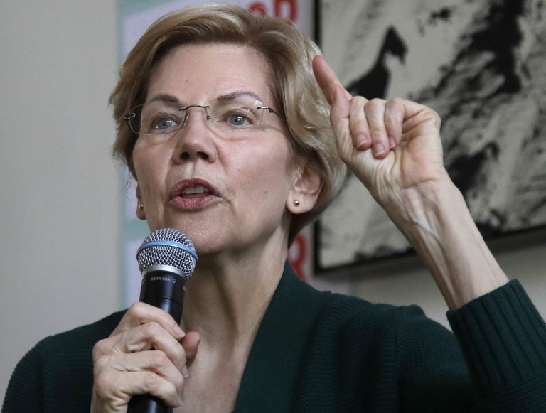 Democratic presidential candidate Sen. Elizabeth Warren, D-Mass., speaks at a campaign house party, Friday, March 15, 2019, in Salem, N.H. (Elise Amendola/AP Photo)