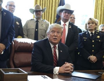 In this March 15, 2019, photo, President Donald Trump speaks about border security in the Oval Office of the White House, Friday, March 15, 2019, in Washington. (Evan Vucci/AP Photo)