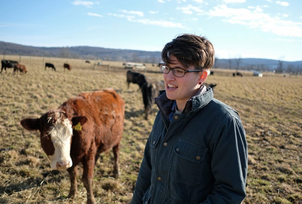 Farmer Deanne Boyer stands next to her cows at Willow Run Farm in Fleetwood, Pennsylvania. She says her techniques for raising cattle reduces their environmental impact, and could even help slow climate change. (Matt Smith for WHYY)