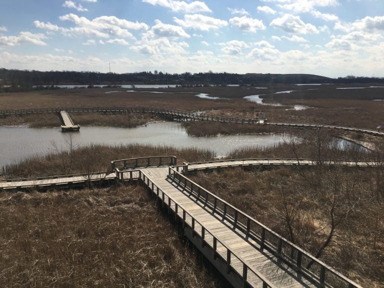 Conservation groups hope to use $4.1 million to preserve and protect areas of the Delaware River Watershed similar to what’s been done here along the Wilmington Riverfront and the Christina River. (Mark Eichmann/WHYY)