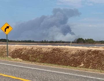 The New Jersey Forest Fire Service says the wildfire in a remote area near Spring Hill Road in Burlington County's Penn State Forest broke out early Saturday afternoon. (Courtesy of Amy Miller Shaman)