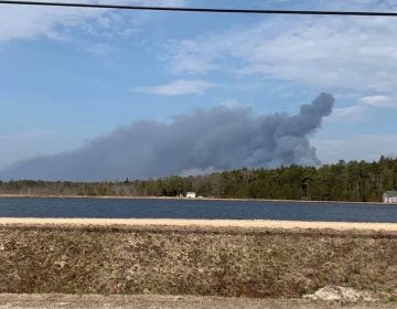 The New Jersey Forest Fire Service says the wildfire in a remote area near Spring Hill Road in Burlington County's Penn State Forest broke out early Saturday afternoon. (Courtesy of Amy Miller Shaman)