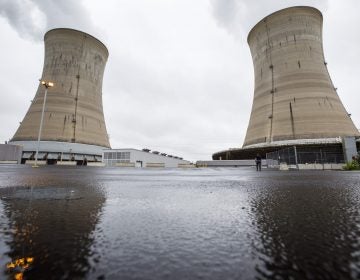 Exelon Corporation Three Mile Island nuclear generating station Unit 1 cooling towers in Londonderry Township, Dauphin County. May 22, 2017. (Dan Gleiter/PennLive)