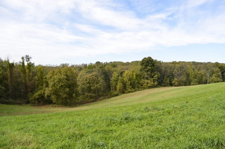 The Allegheny Land Trust manages the Audubon Greenway northwest of Pittsburgh. The organization first acquired a piece of the land in 2003 and has since added to it with a combination of public and private dollars. (Amy Sisk/StateImpact Pennsylvania)