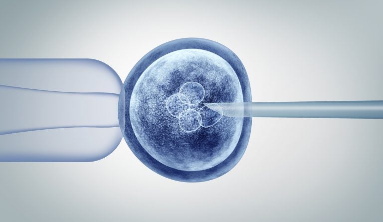 research on embryos