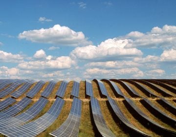 Solar panels fill a field in Provence-Alpes-Cote d'Azur, France. (Panoramic Images/Getty Images)