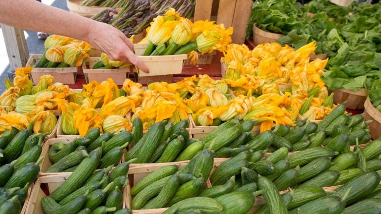 Nationwide, there are too few farmers to populate market stalls and too few customers filling their canvas bags with fresh produce at each market.
(Karen Bleier/AFP/Getty Images)