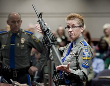 Detective Barbara J. Mattson, of the Connecticut State Police, holds up a Bushmaster AR-15 rifle, the same make and model of gun used by Adam Lanza in the Sandy Hook School shooting. (AP Photo/Jessica Hill, File)