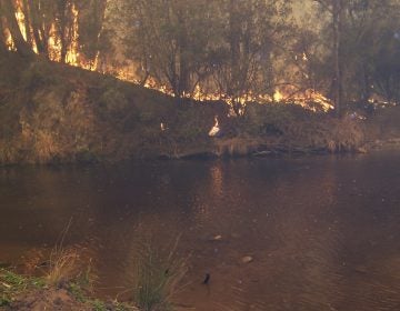 A fire burns along the Howqua River in 2006 in southern Australia's Victoria state. Fire is no stranger in the bush country there. (Graeme Stoney, Mountain Cattlemen's Association of Victoria)