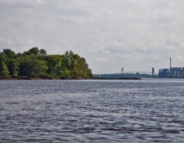 https___cdn.evbuc.com_images_56685225_131551600987_1_original