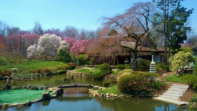 Shofuso Japanese House & Garden
