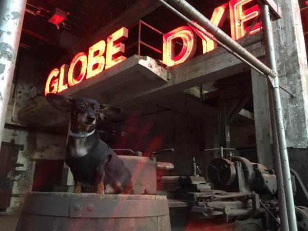 The neon Globe Dye Works sign is now on display in the boiler room. (Courtesy of Globe Dye Works)