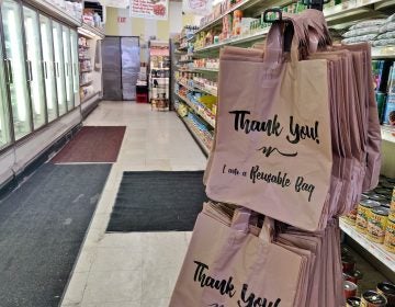 Reusable bags in a grocery aisle