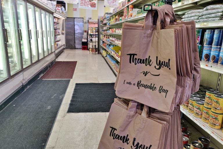 Reusable bags in a grocery aisle