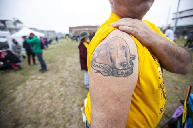 Dan Marshall from Yardley, Pa., shows off his tattoo of the first basset hound he owned. Marshall was on hand for the 21st annual BoardWaddle, part of the Ocean City Doo Dah Parade. (Miguel Martinez for WHYY)