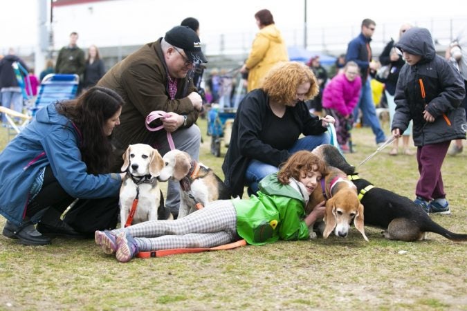 A family participates in the Tri-State Basset Hound Rescue picnic after BoardWaddle on Saturday, April 13, 2019, in Ocean City. (Miguel Martinez for WHYY)