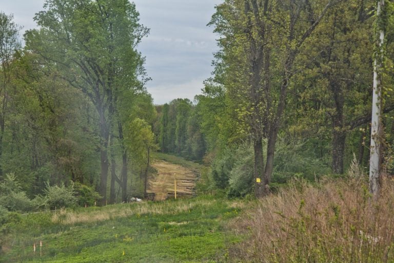 A Mariner East pipeline construction clearing in Delaware County. (Kimberly Paynter/WHYY)