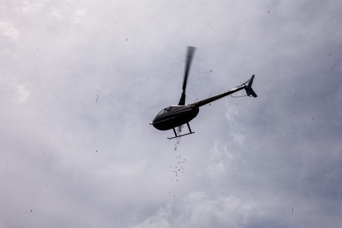 A helicopter dropped thousands of Easter eggs on to the River Fields in Northeast Philadelphia Saturday. (Brad Larrison for WHYY)