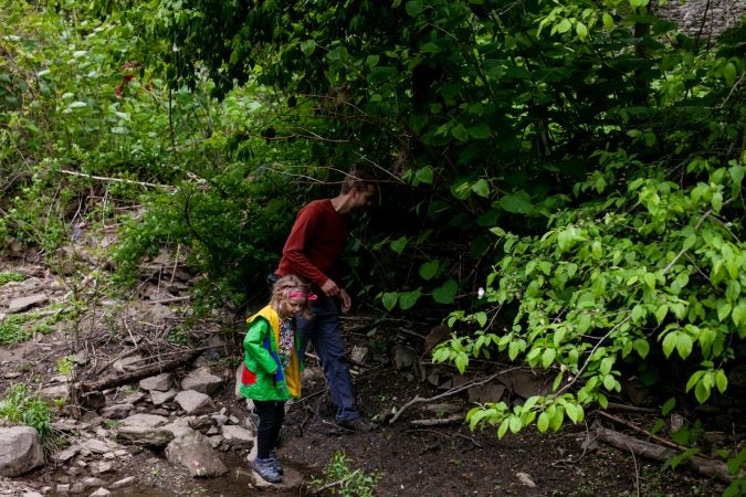 Five-year-old Ellie Sponsler looks for wildlife with her father Doug during the City Nature Challenge Sunday. (Brad Larrison for WHYY)