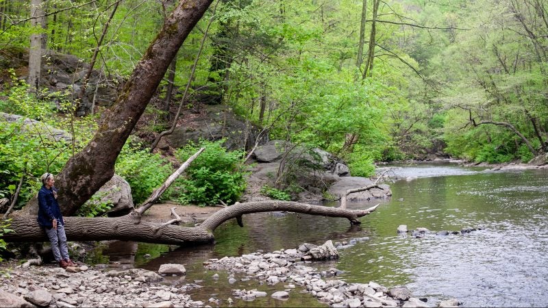 Helena Van Fliet stands by the Wissahickon Creek during the City Nature Challenge Sunday. (Brad Larrison for WHYY)