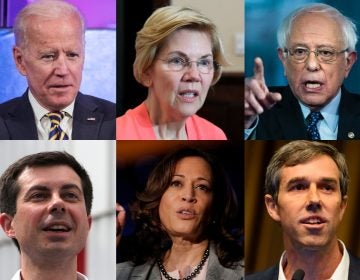 Joe Biden, Elizabeth Warren Bernie Sanders, Pete Buttigeig, Kamala Harris, Beto O'Rourke (AP)