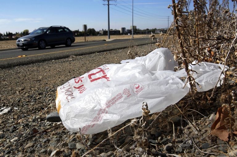 Can We Eliminate Plastic Garbage Bags