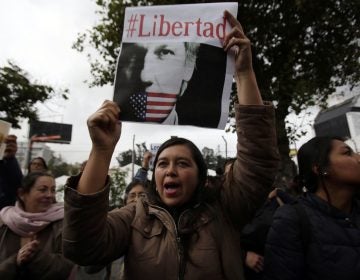 A woman holds up the Spanish hashtag #Freedom during a protest against the arrest of WikiLeaks founder Julian Assange, outside the Foreign Ministry in Quito, Ecuador, Thursday, April 11, 2019. On Thursday, Ecuador's President Lenin Moreno allowed British authorities to forcibly remove Assange from Ecuador’s small embassy in London where he was given safe haven in 2012. (Dolores Ochoa/AP Photo)