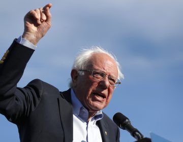 Democratic presidential candidate Sen. Bernie Sanders, I-Vt., speaks during a rally in Warren, Mich., Saturday, April 13, 2019. (Paul Sancya/AP Photo)