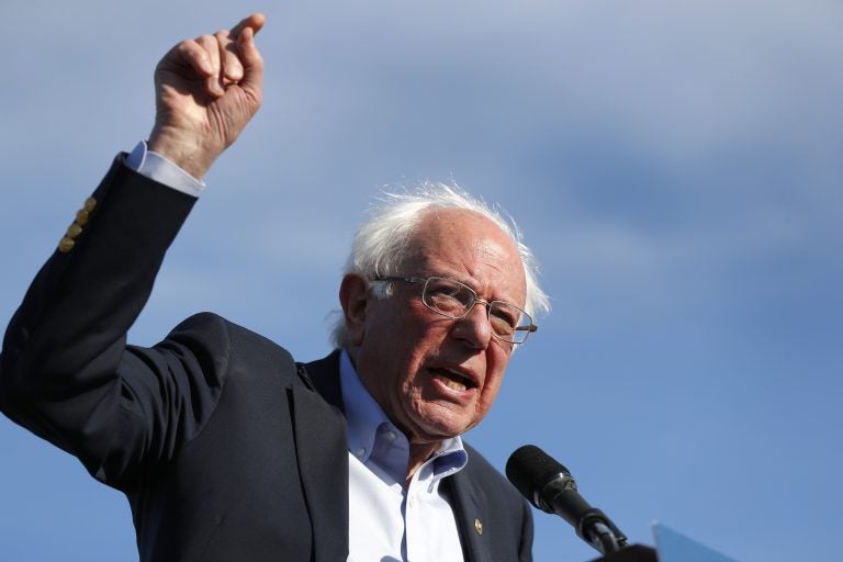 Democratic presidential candidate Sen. Bernie Sanders, I-Vt., speaks during a rally in Warren, Mich., Saturday, April 13, 2019. (Paul Sancya/AP Photo)