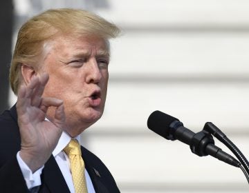 In this April 25, 2019, photo, President Donald Trump speaks on the South Lawn of the White House in Washington. (Susan Walsh/AP Photo)