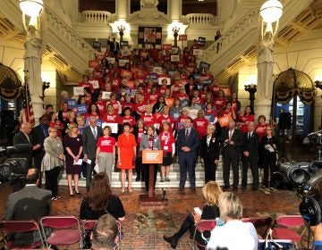 Supporters of legislation to increase gun restrictions rally at the state Capitol in Harrisburg on Sept. 24, 2018. (Ed Mahon/PA Post) 